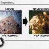 Scholar's Slide Package - Image 10