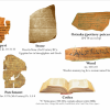 Scholar's Slide Package - Image 3