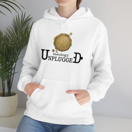 Theology Unplugged Heavy Blend™ Hooded Sweatshirt - Image 16