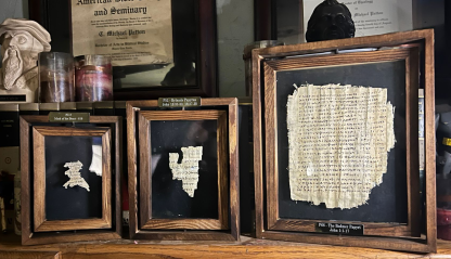 Papyri Bundle - Image 14
